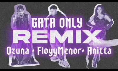 FloyyMenor, Anitta, Ozuna - Gata Only Remix Mp3 Download