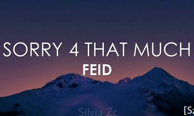 Feid - Sorry 4 That Much Mp3 Download